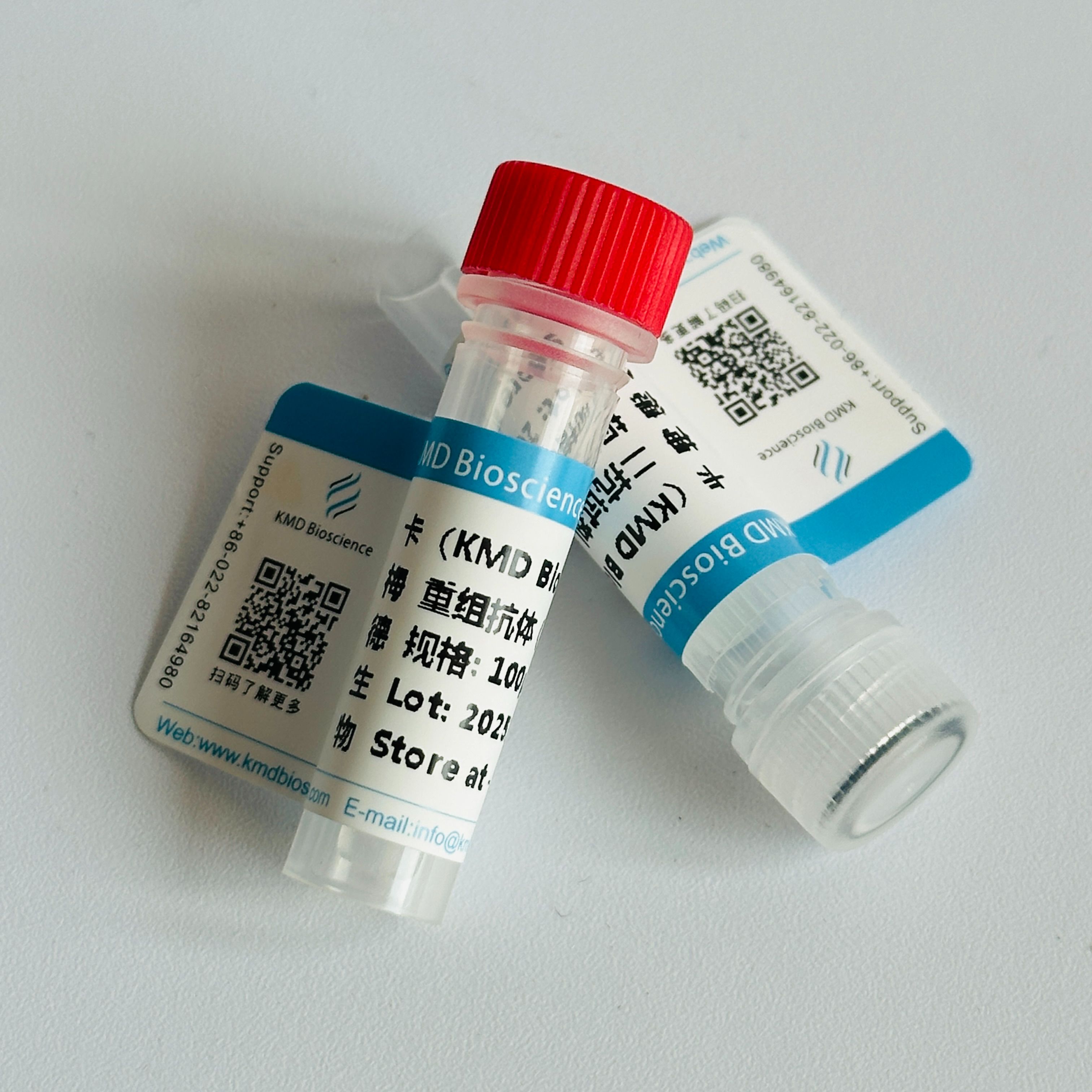 Recombinant Human anti-COVID-19/SARS-CoV-2 RBD Monoclonal Antibody
