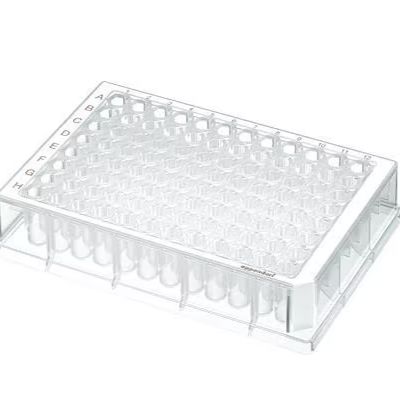 Eppendorf货号0030508106现货96孔深孔板500μl大包装(蛋白低吸附)PCR洁净级(白色)19121878899上海睿安生物Eppendorf官方正式授权代理商