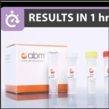 All-In-One 5X RT MasterMix with gDNA Removal