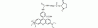 Rhodamine PEG NHS,MW 3400 Da,阿拉丁