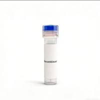 SLC5A2蛋白;Recombinant SLC5A2 Protein
