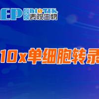 10x单细胞转录组 | GEM-X v4,性能全面提升