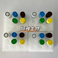 鸭呼肠孤病毒(DRV)核酸检测试剂盒(荧光PCR法)