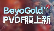 更多尺寸！更低背景！碧云天BeyoGold™ PVDF膜上新