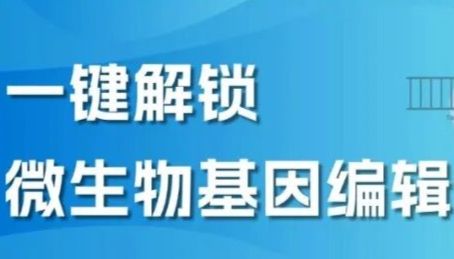 微生物基因编辑试剂盒 | 让“无痕、高效、多重”成为标准配置