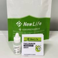 PMS2抗体试剂（免疫组织化学）