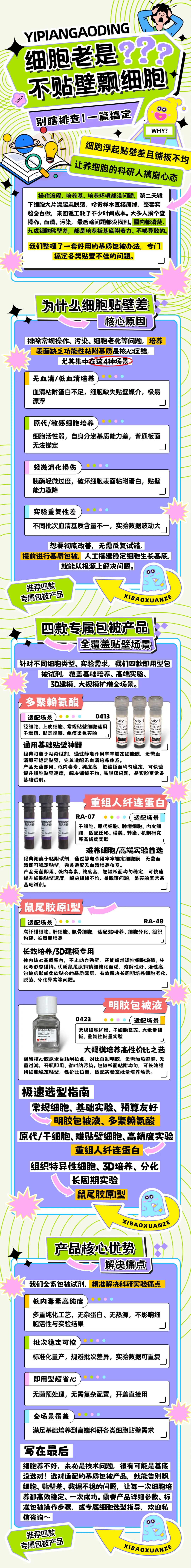 细胞老是不贴壁、飘细胞？别瞎排查了！一篇搞定