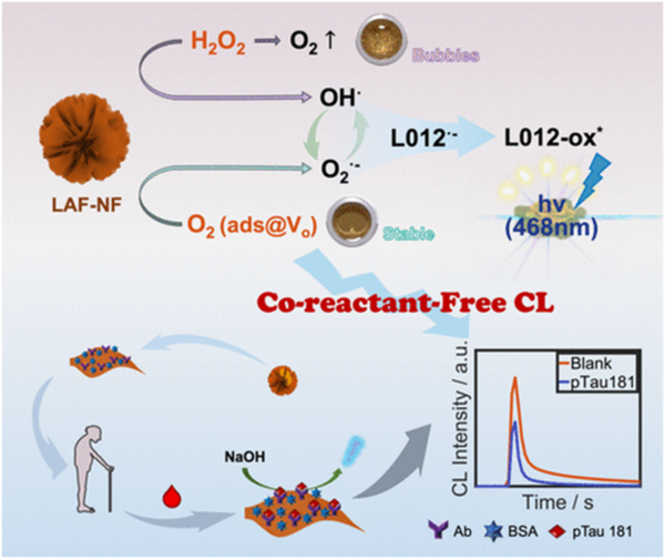 BMG LABTECH多功能酶标仪文献分享,华东师范科研团队发表“Chemiluminescent Nanoflower with Inherent Oxygen Vacancies for Coreactant-Free and Label-Free Immunoassay of pTau181” 报告
