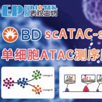 BD单细胞ATAC-seq | 绘制单细胞水平染色质可及性图谱——基因调控元件/疾病表观异质性/scATAC+scRNA联合分析...