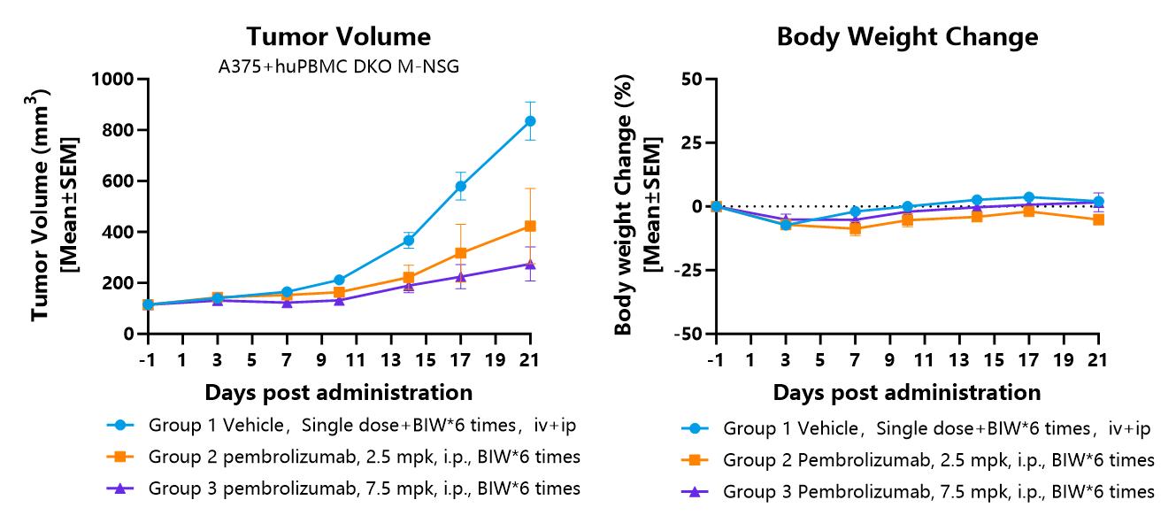 技术资料图片6