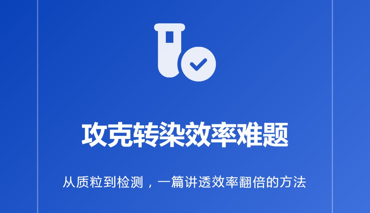转染效率低到怀疑人生？从质粒到检测，一篇讲透效率翻倍的方法