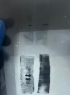 技术资料图片2
