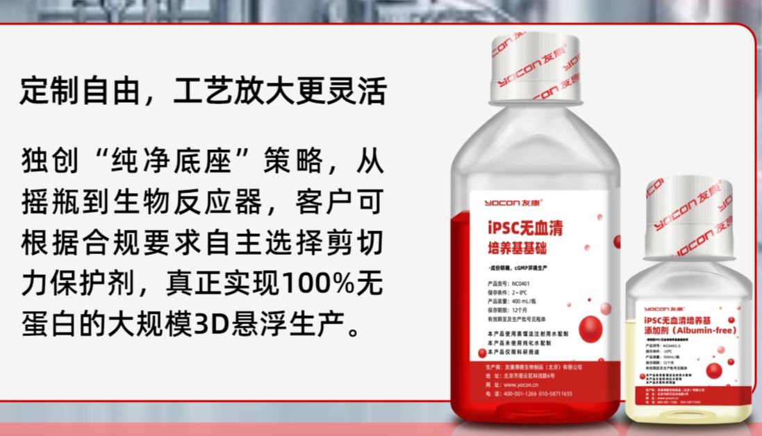 iPSC培养还在用含白蛋白培养基？IND申报路上那个被忽视的“批间差”隐患，该解决了