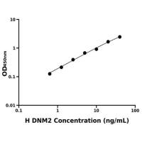 人发动蛋白2(DNM2)ELISA试剂盒