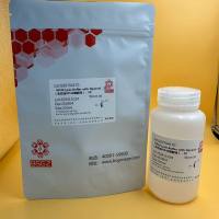 NP40 Lysis Buffer with Glycerol,2X(含甘油NP40裂解液),2X