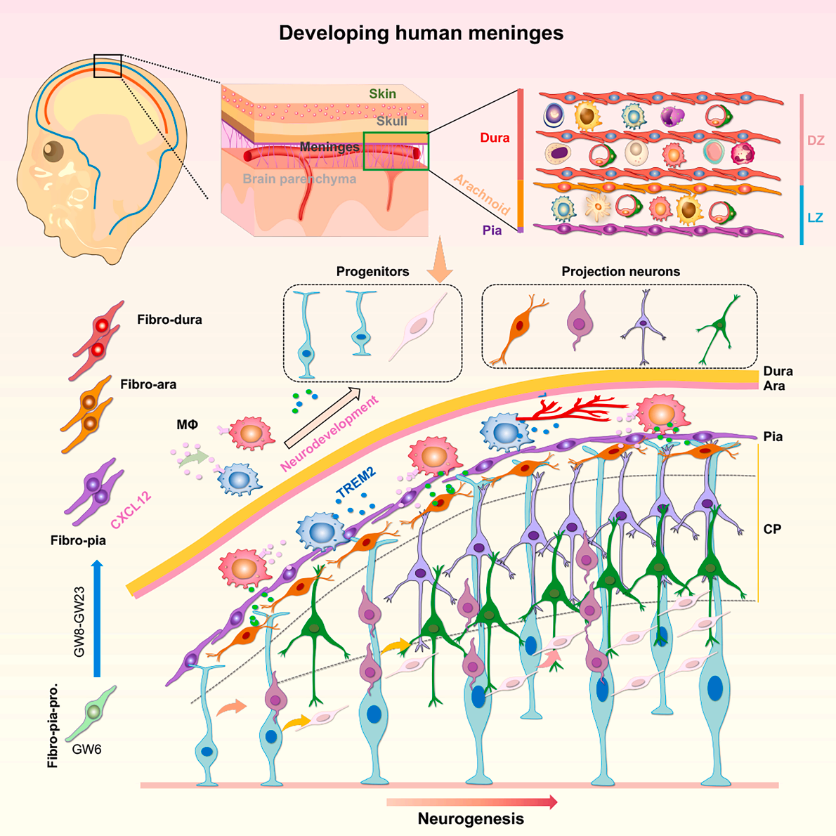 新闻图片10