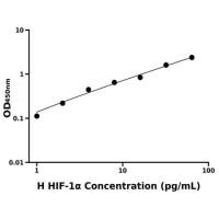 人低氧诱导因子1α(HIF-1α)ELISA试剂盒