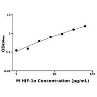 小鼠低氧诱导因子1α(HIF-1α)ELISA试剂盒