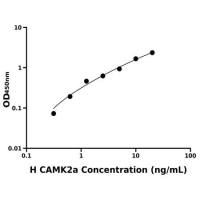 人钙/钙调蛋白依赖性蛋白激酶Ⅱα(CAMK2a)ELISA试剂盒