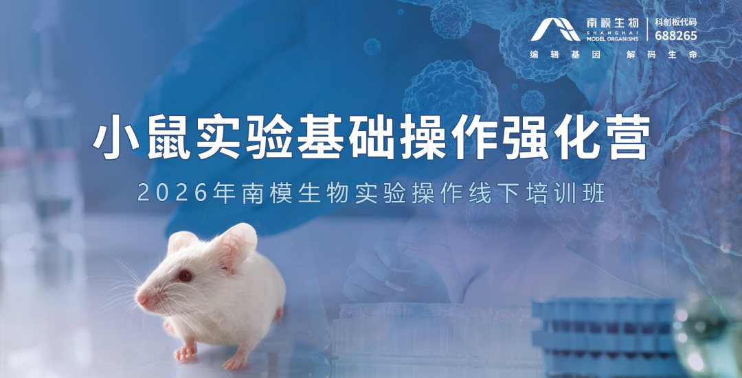 新闻图片1