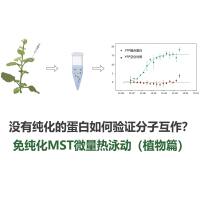 没有纯化的蛋白如何验证分子互作？免纯化MST微量热泳动（植物篇）