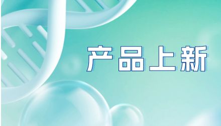 抗小鼠CD8α抗体（克隆号：53-6.7）| CD8⁺ T细胞耗竭工具