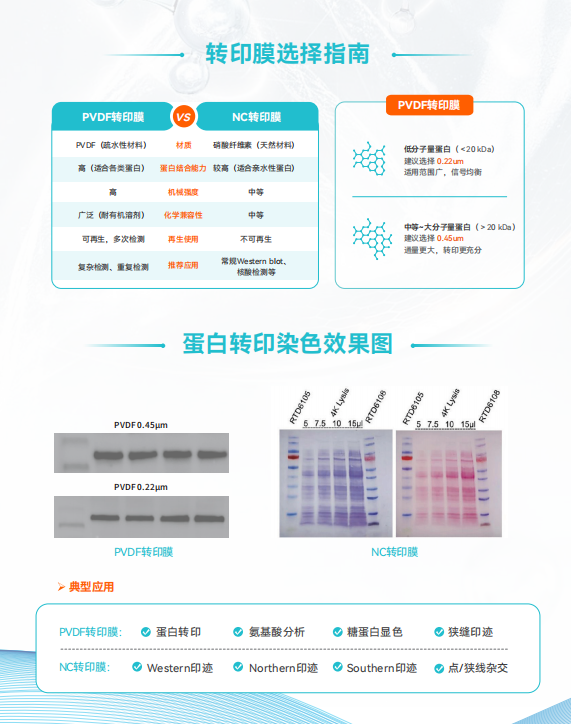 产品细节图片3