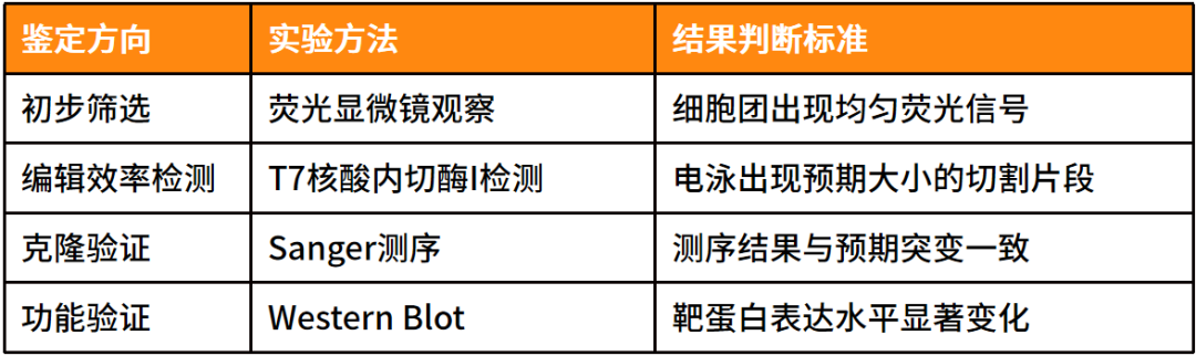 类器官课堂 | 手把手掌握类器官基因编辑（操作篇）