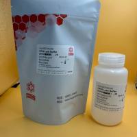 NP40 Lysis Buffer(NP40裂解液),2X