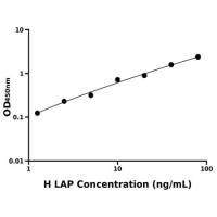 人亮氨酰氨基肽酶(LAP)ELISA试剂盒