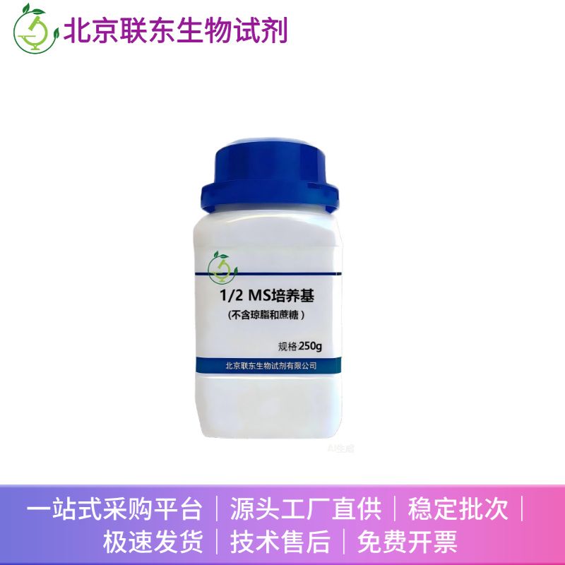 1/2MS培养基(不含琼脂和蔗糖)