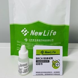 BRCA1 抗体试剂（免疫组织化学）