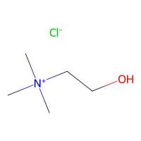 氯化胆碱,67-48-1,UltraBio™, ≥99%(AT),阿拉丁