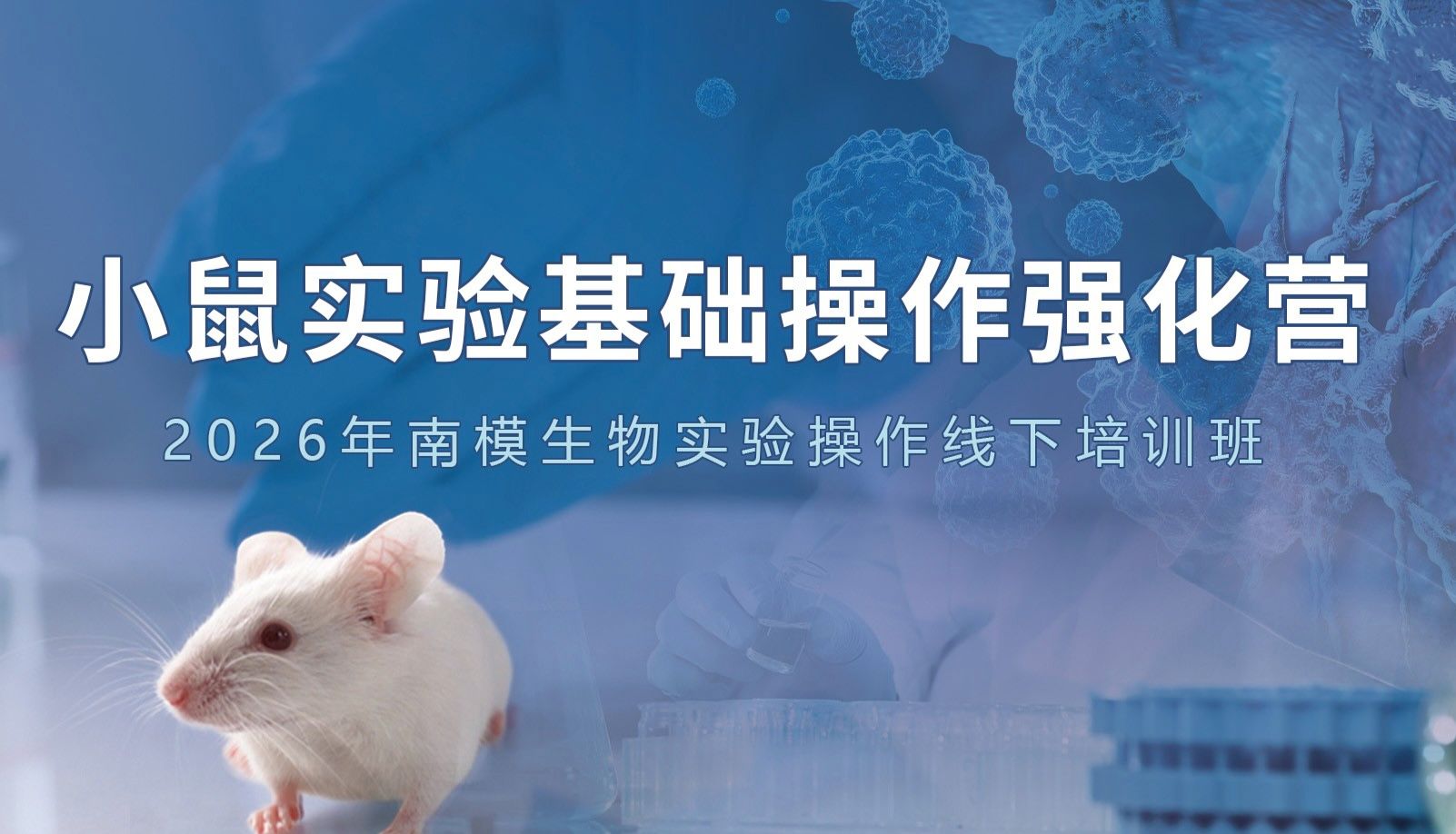 实操精进！小鼠实验基础操作强化营精彩回顾