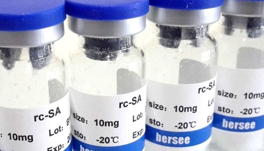 链霉亲和素(Streptavidin)哪家好？高纯度SA及HRP/FITC标记物现货供应商