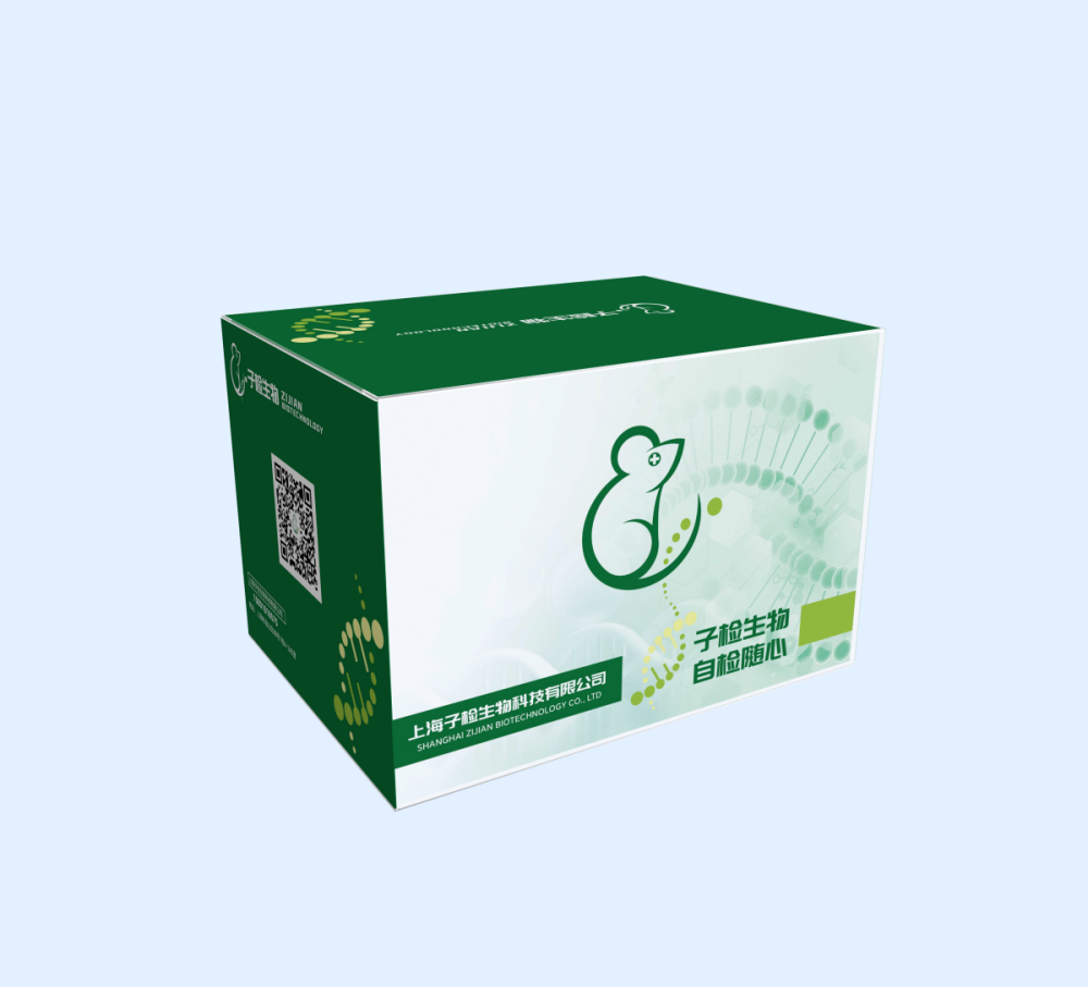 产品细节图片8
