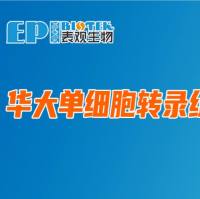 华大单细胞转录组 | 4通道灵活上样，更低成本解析细胞异质性