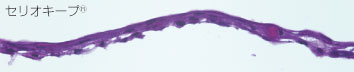 231584948198.jpg BVD04575.jpg
