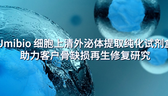 IF=21.7 | Umibio 细胞上清外泌体提取纯化试剂盒助力客户骨缺损再生修复研究！