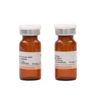重组人R-脊椎蛋白3 /Recombinant R-Spondin 3，Human，Animal