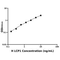 人淋巴细胞胞浆蛋白1(LCP1)ELISA试剂盒