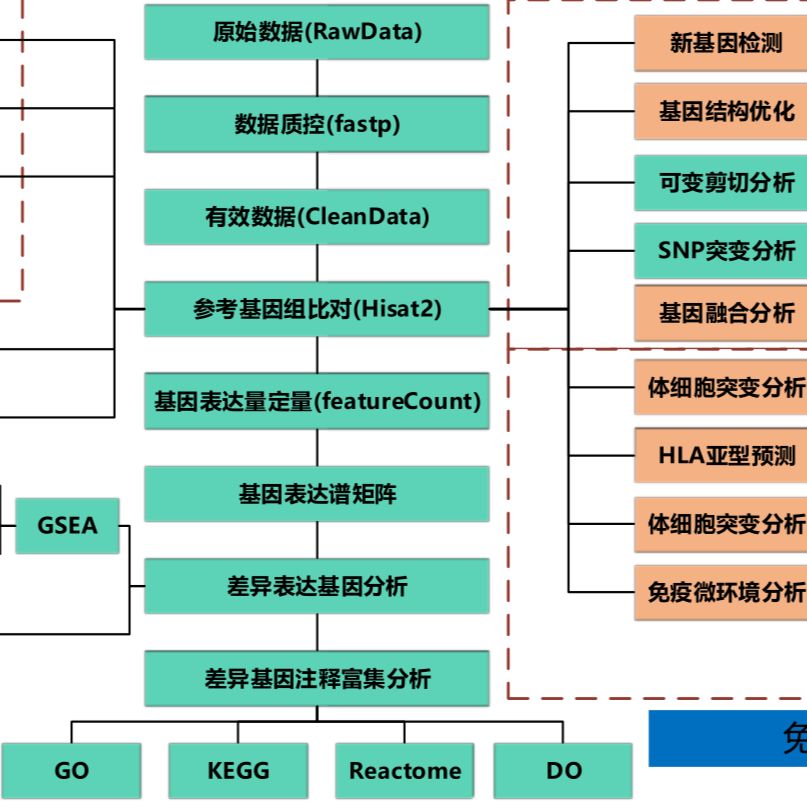 微量转录组（Smart-seq2）
