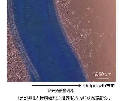 231584947336.jpg 231584947336.jpg