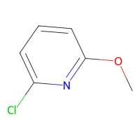 2-氯-6-甲氧基吡啶,17228-64-7,10mM in DMSO,阿拉丁