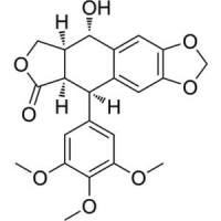 异苦鬼臼毒素