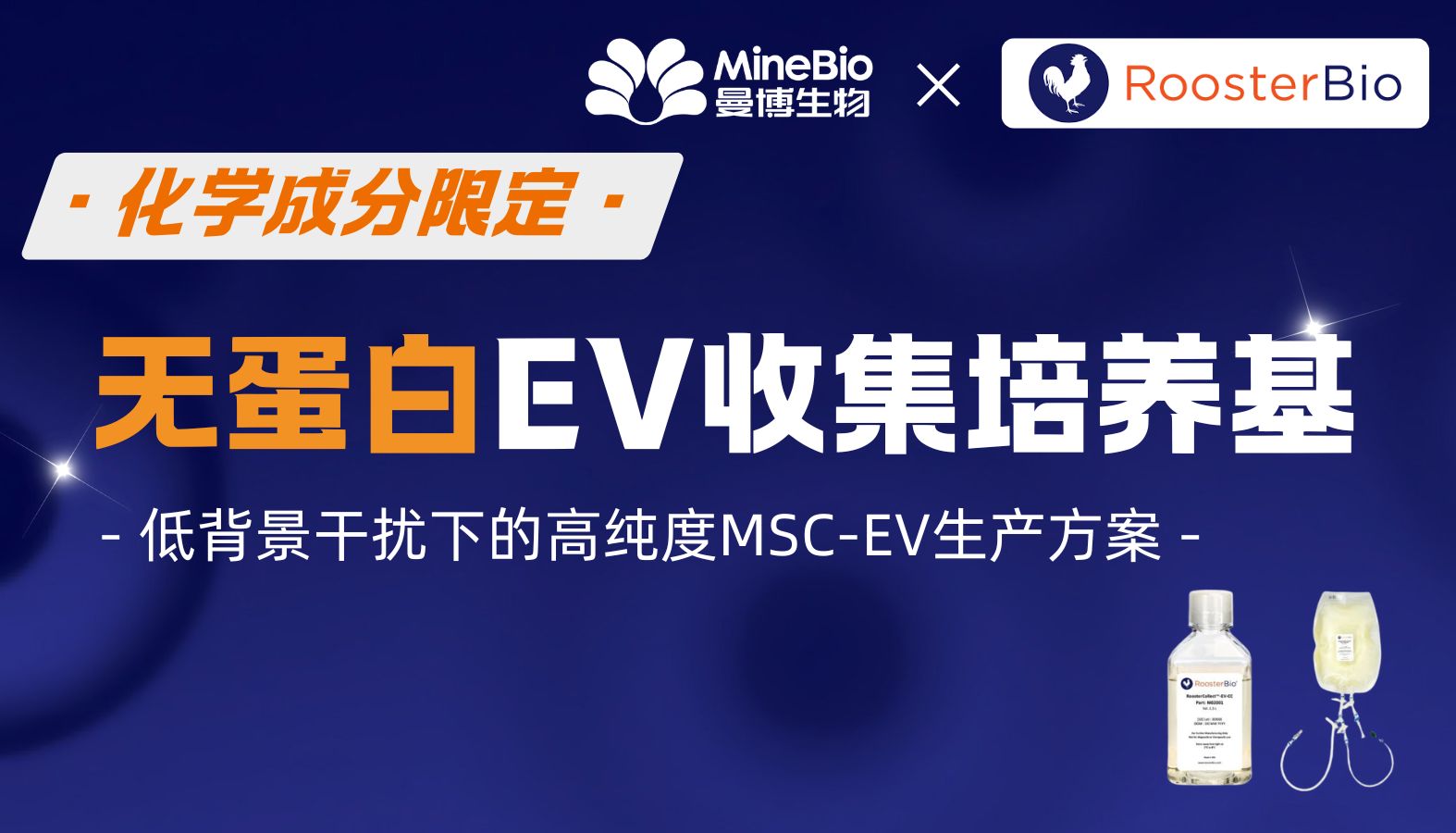 Rooster化学成分限定无蛋白EV收集培养基｜低背景干扰下的高纯度MSC-EV生产方案