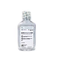 模拟胃液 (SGF) Simulated Gastric Fluid (SGF) without Pepsin