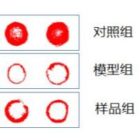 斑马鱼帕金森模型服务