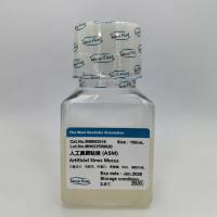 人工鼻窦粘液 (ASM)Artificial Sinus Mucus