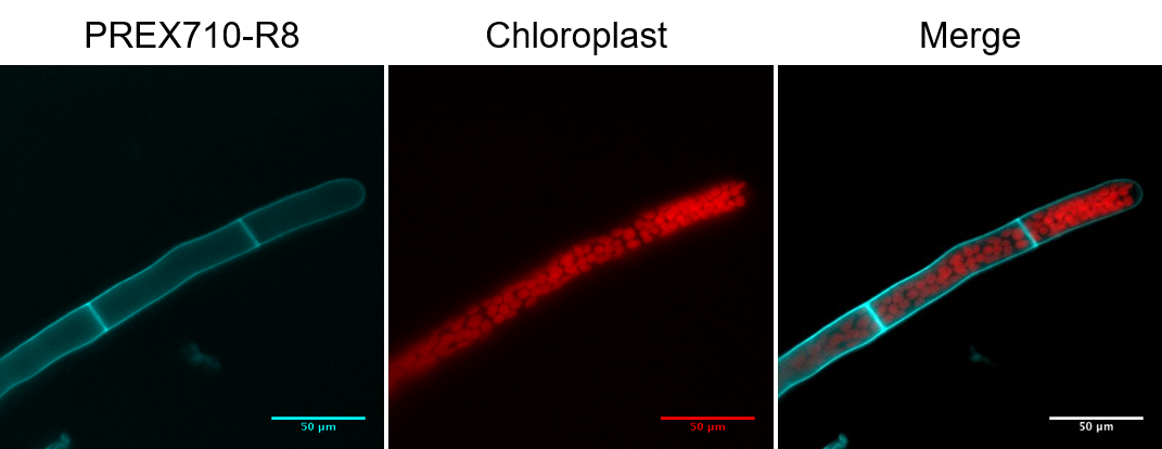 1316393639941640.png 1316393639941640.png